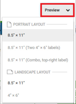 packing slip template editor preview button marked