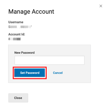 Box highlights Set Password button