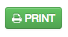 Print_button__ConnectEasy_.png