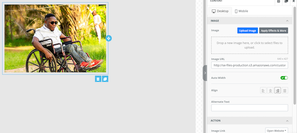 image editor of customize campaign page