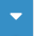 Action button dropdown menu.