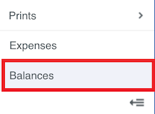 Stamps.com page showing Balances marked in red